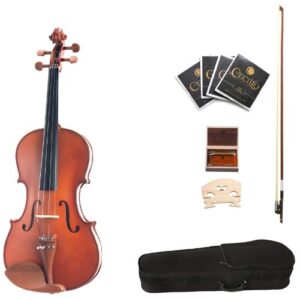 cecilio violin