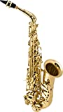 Traje de saxofón alto Selmer La Voic ll