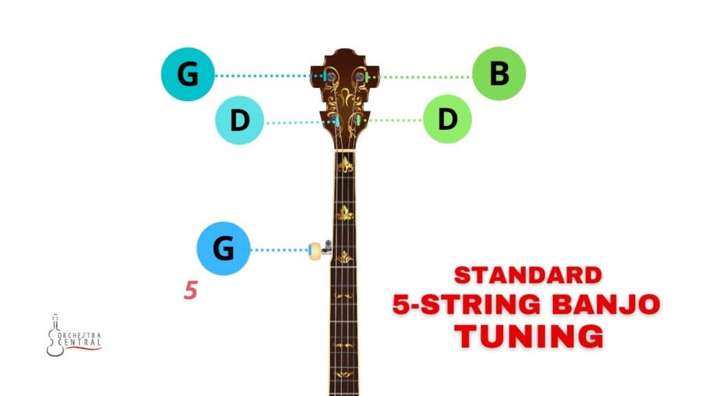 Imagen que muestra la afinación estándar del banjo de un banjo de 5 cuerdas