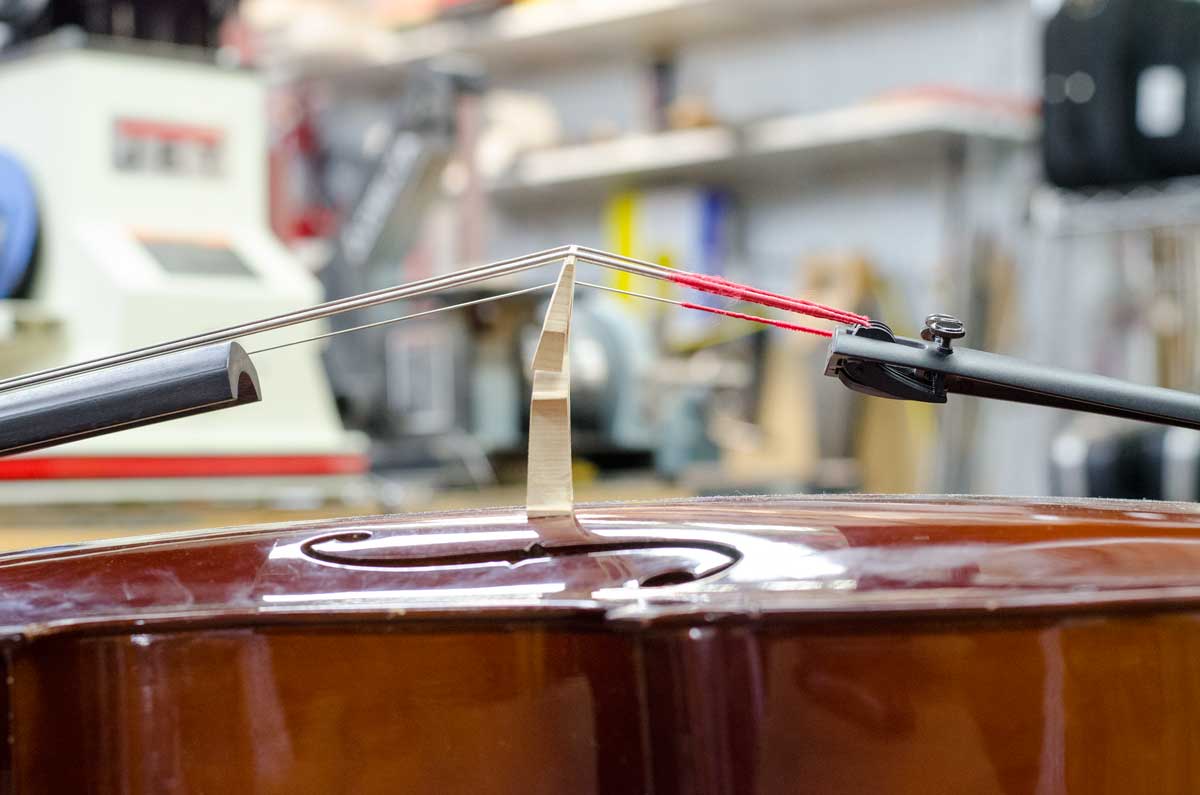 Reparaciones comunes para violonchelo • Laboratorio Sonoro
