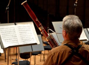 Fagot - Instrumento musical duro