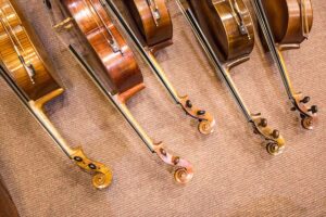 violonchelos