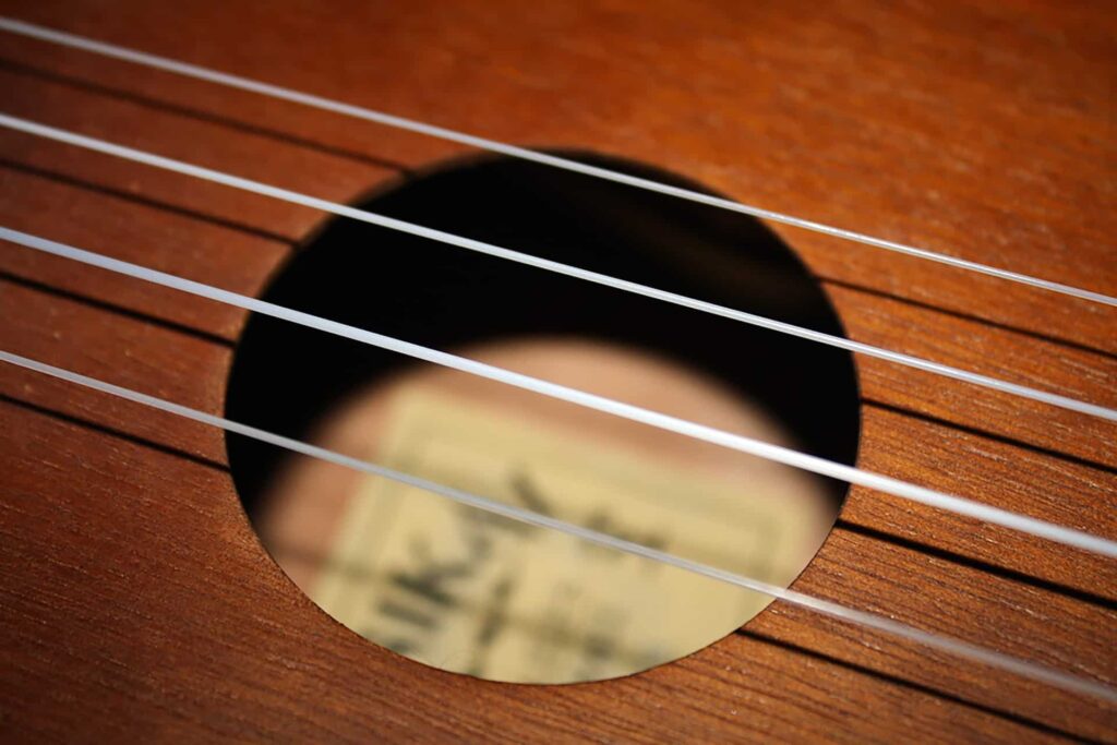 Una imagen de primer plano de cuerdas de nailon de ukelele