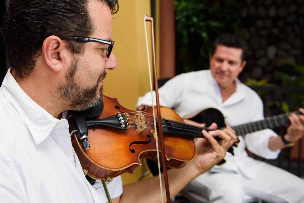 	estuche de violin