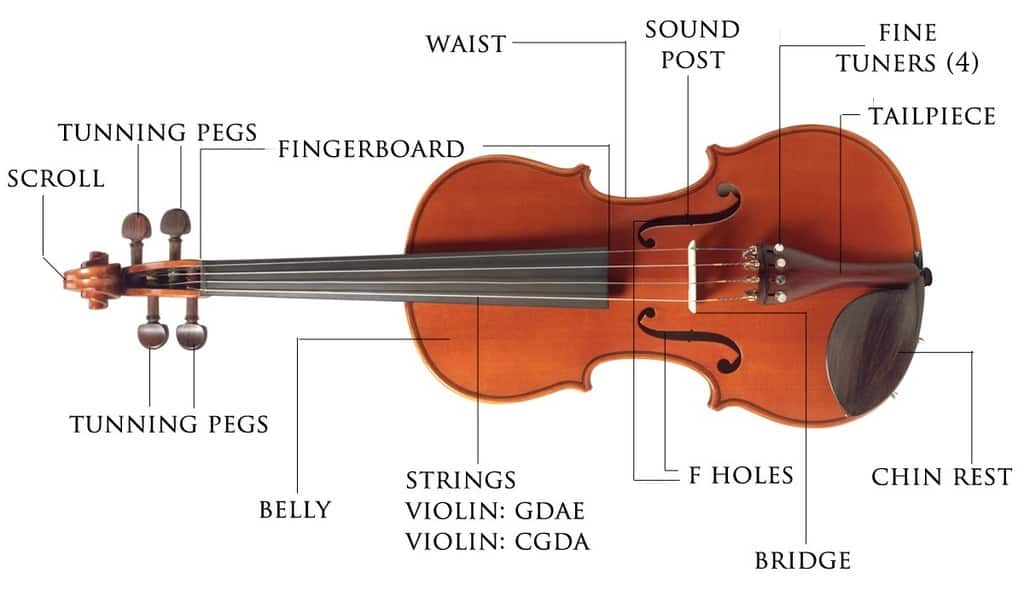 Las mejores cuerdas de violín para jugadores intermedios.