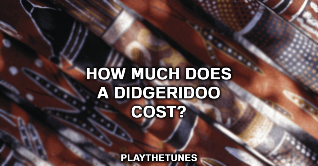 precio del didgeridoo