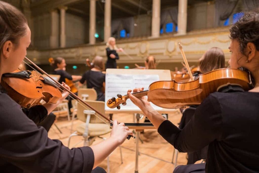 funda de pistola de violín