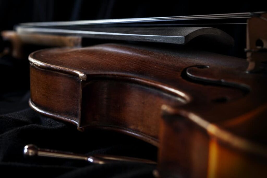 bam estuche de violín